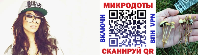 мориарти формула  omg   Галлюциногенные грибы прущие грибы  Покровск  где купить  